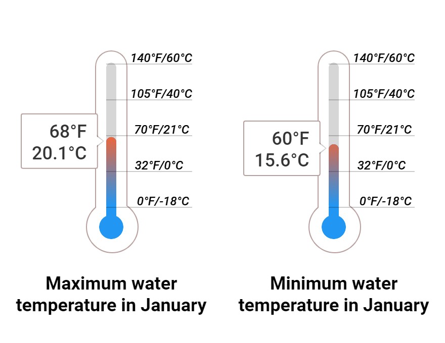 Average Sea temperature